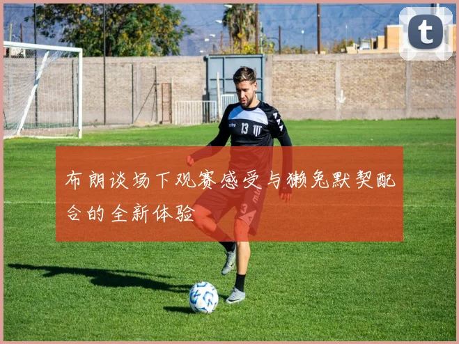 布朗谈场下观赛感受与獭兔默契配合的全新体验
